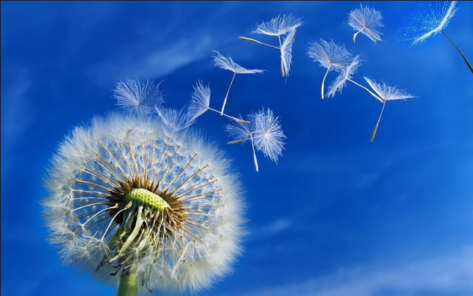 Citation lacher prise et tenir bon